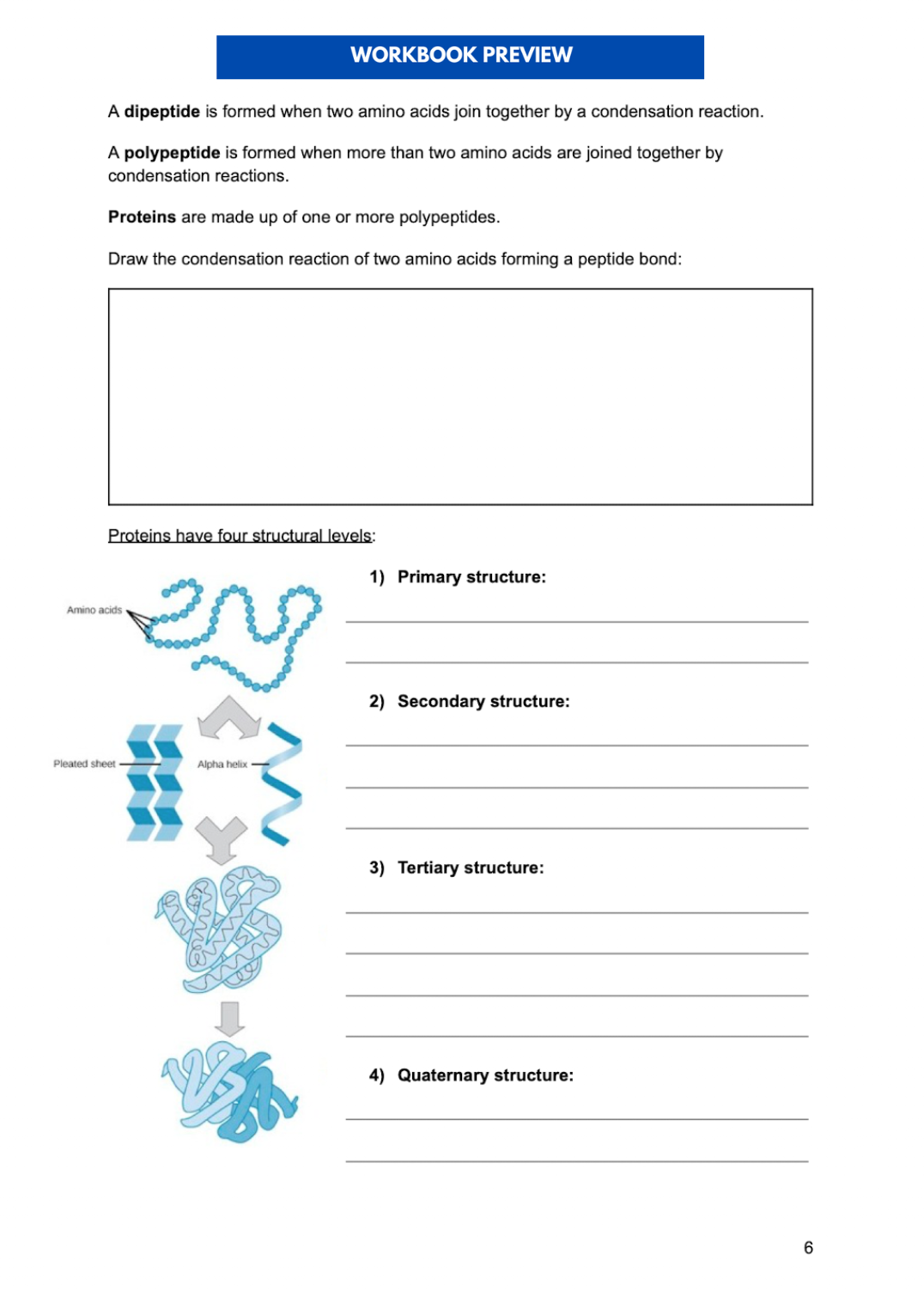 THE ULTIMATE A-LEVEL BIOLOGY WORKBOOK: AQA (YEAR 1/AS)