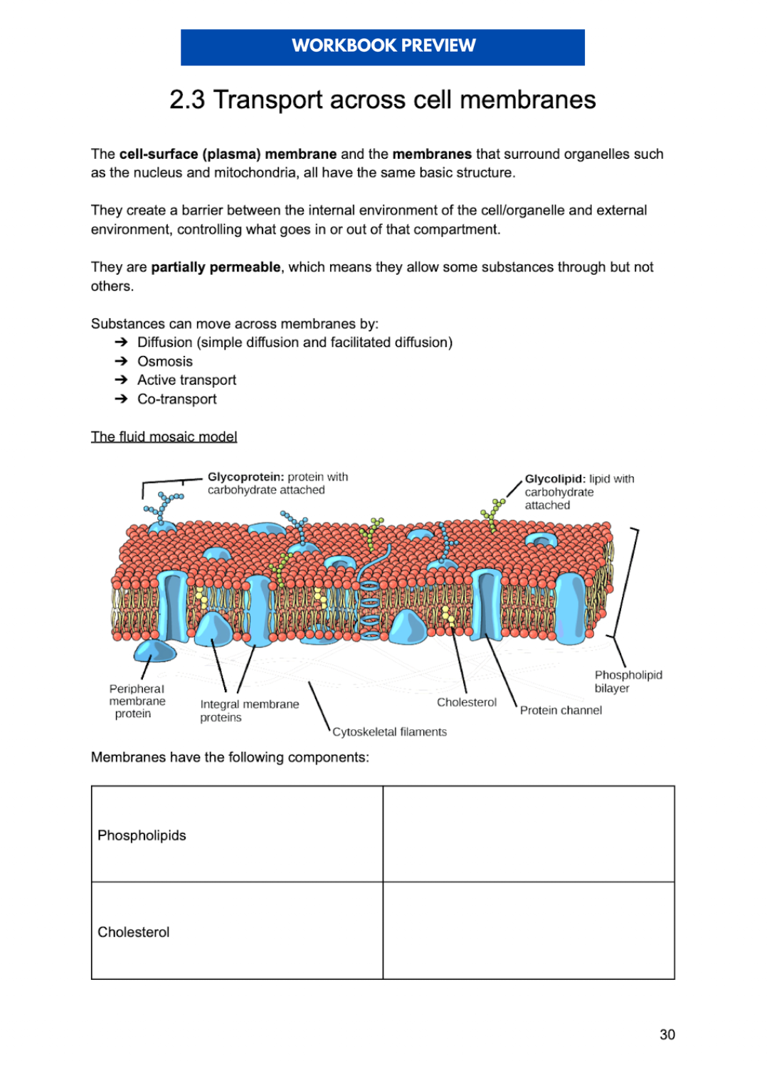 THE ULTIMATE A-LEVEL BIOLOGY WORKBOOK: AQA (YEAR 1/AS)