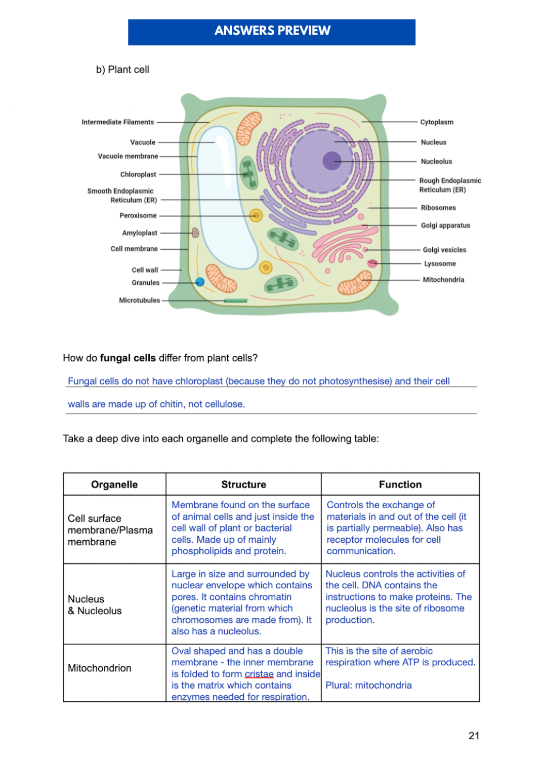 THE ULTIMATE A-LEVEL BIOLOGY WORKBOOK: AQA (YEAR 1/AS)